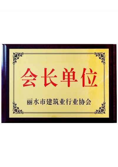 麗水市建筑業(yè)行業(yè)協會會長單位